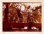 David Hockney: Hollywood Window - Signed Print