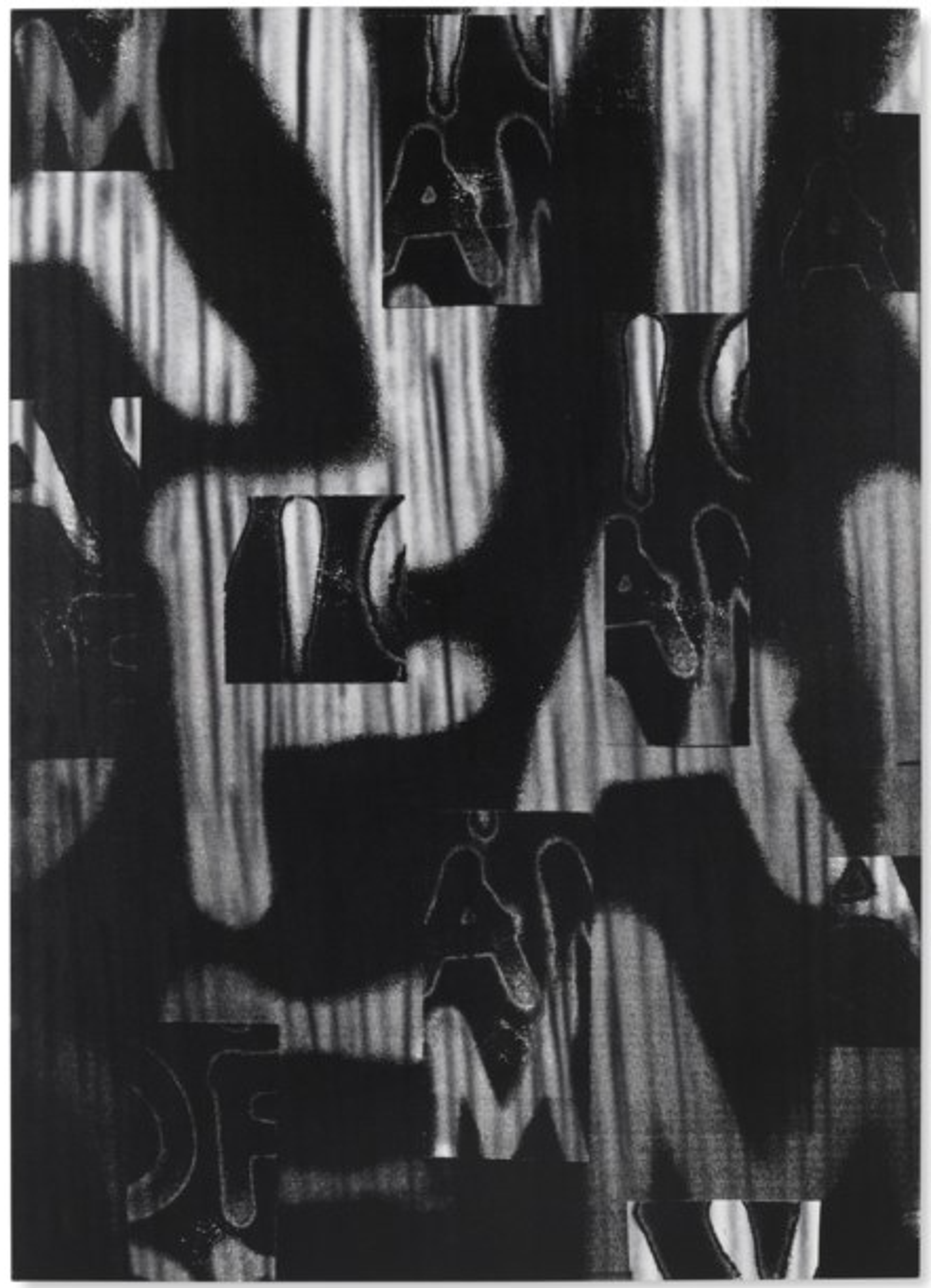 Untitled (A Victim of American Democracy) by Adam Pendleton