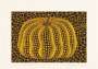 Yayoi Kusama: Small Pumpkin - Signed Print