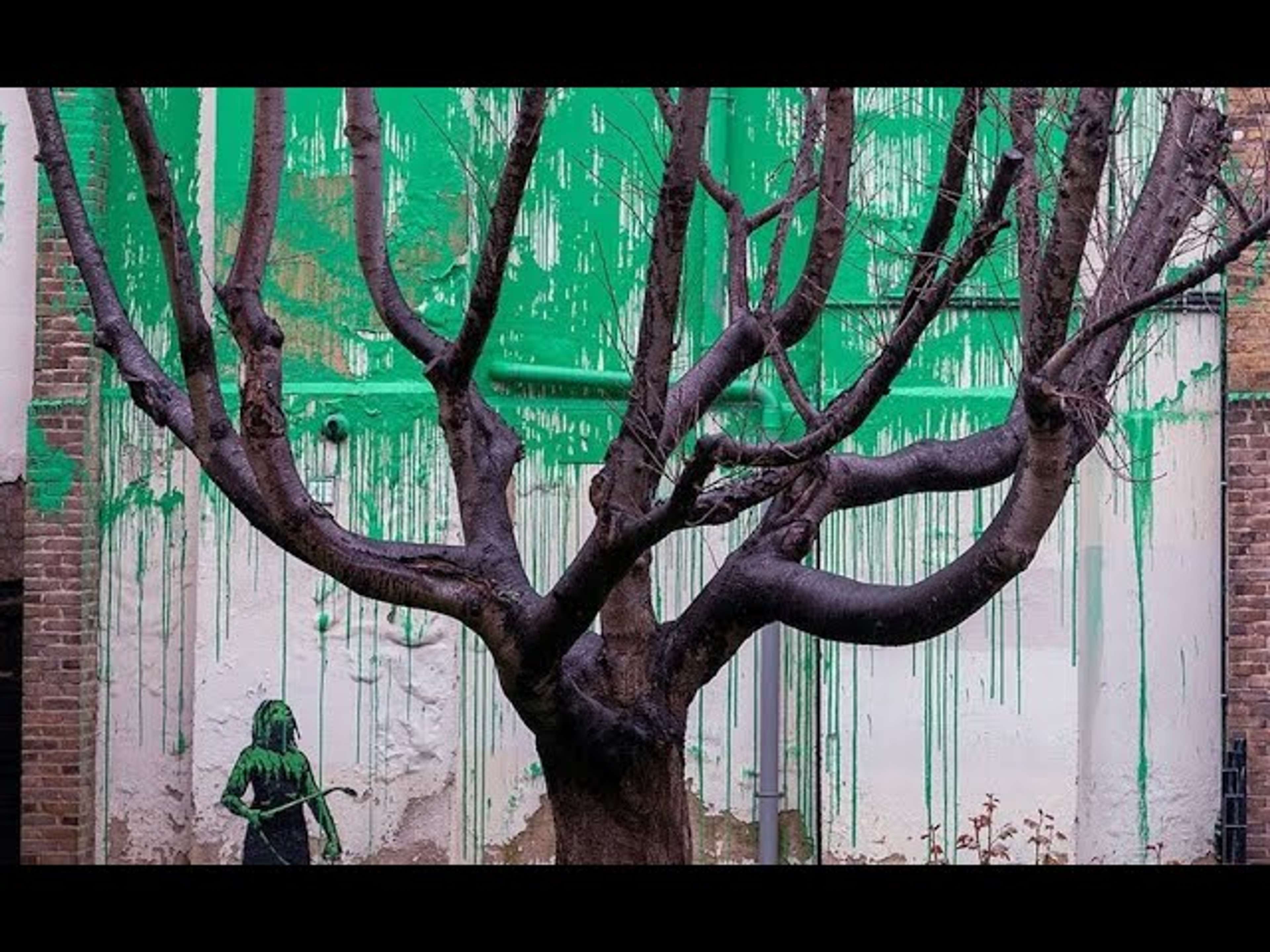 Fresque de Banksy sur un arbre dans le nord de Londres - LBC News & Joe Syer