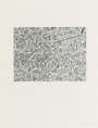 Jasper Johns: Corpse And Mirror (ULAE 167) - Signed Print