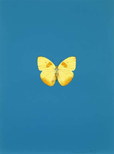 It’s a Beautiful Day 6 - Signed Print by Damien Hirst 2013 - MyArtBroker