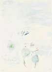 Tilia Cordata - Signed Print