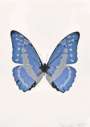 Damien Hirst: The Souls III (frost blue, silver gloss, raven black) - Signed Print