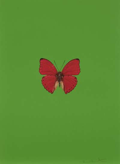 It’s a Beautiful Day 2 - Signed Print by Damien Hirst 2013 - MyArtBroker