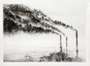 Pejac: A Forest - Signed Print