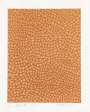 Yayoi Kusama: Infinity Nets (B) , Kusama 296 - Signed Print