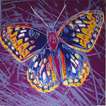 San Francisco Silverspot Butterfly (F. & S. II 298) - Signed Print