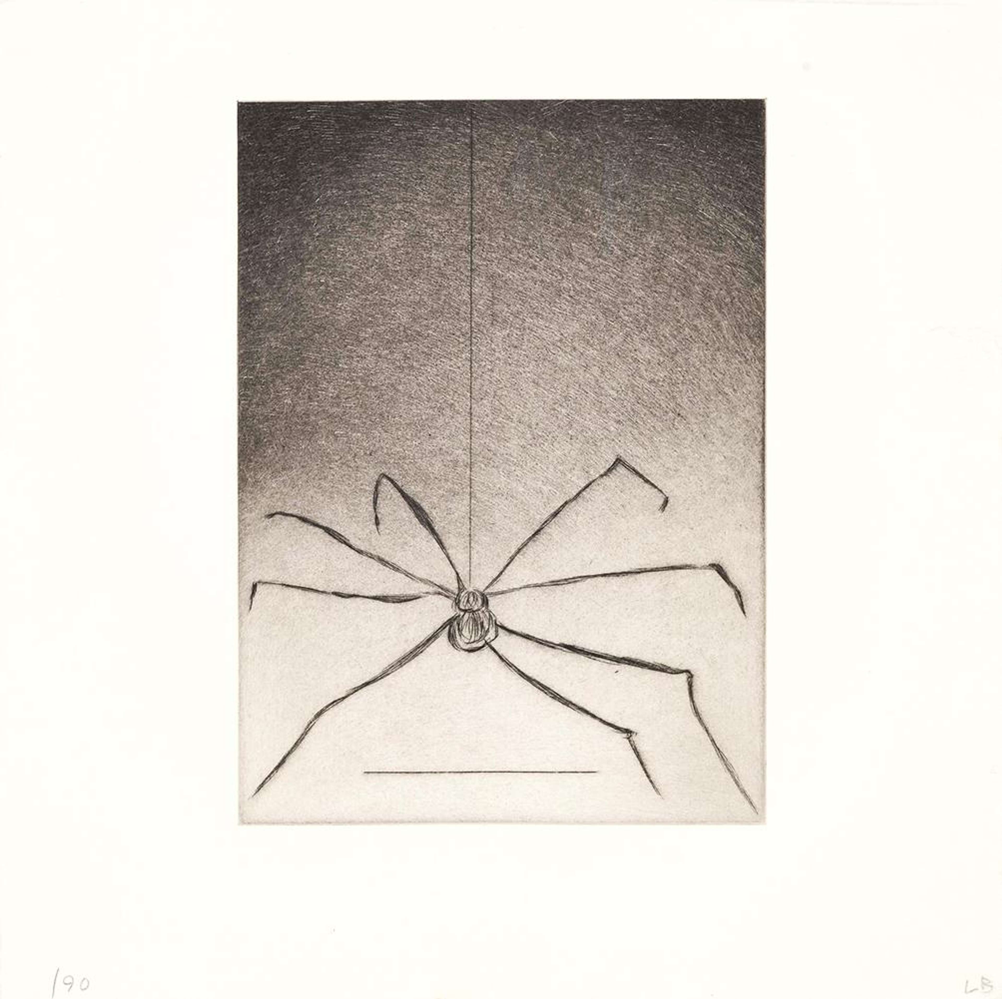 A black spider dangling from a web extending down the composition with its eight legs outstretched across the composition.