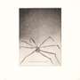 Louise Bourgeois: Plate 5, Ode À Ma Mère - Signed Print