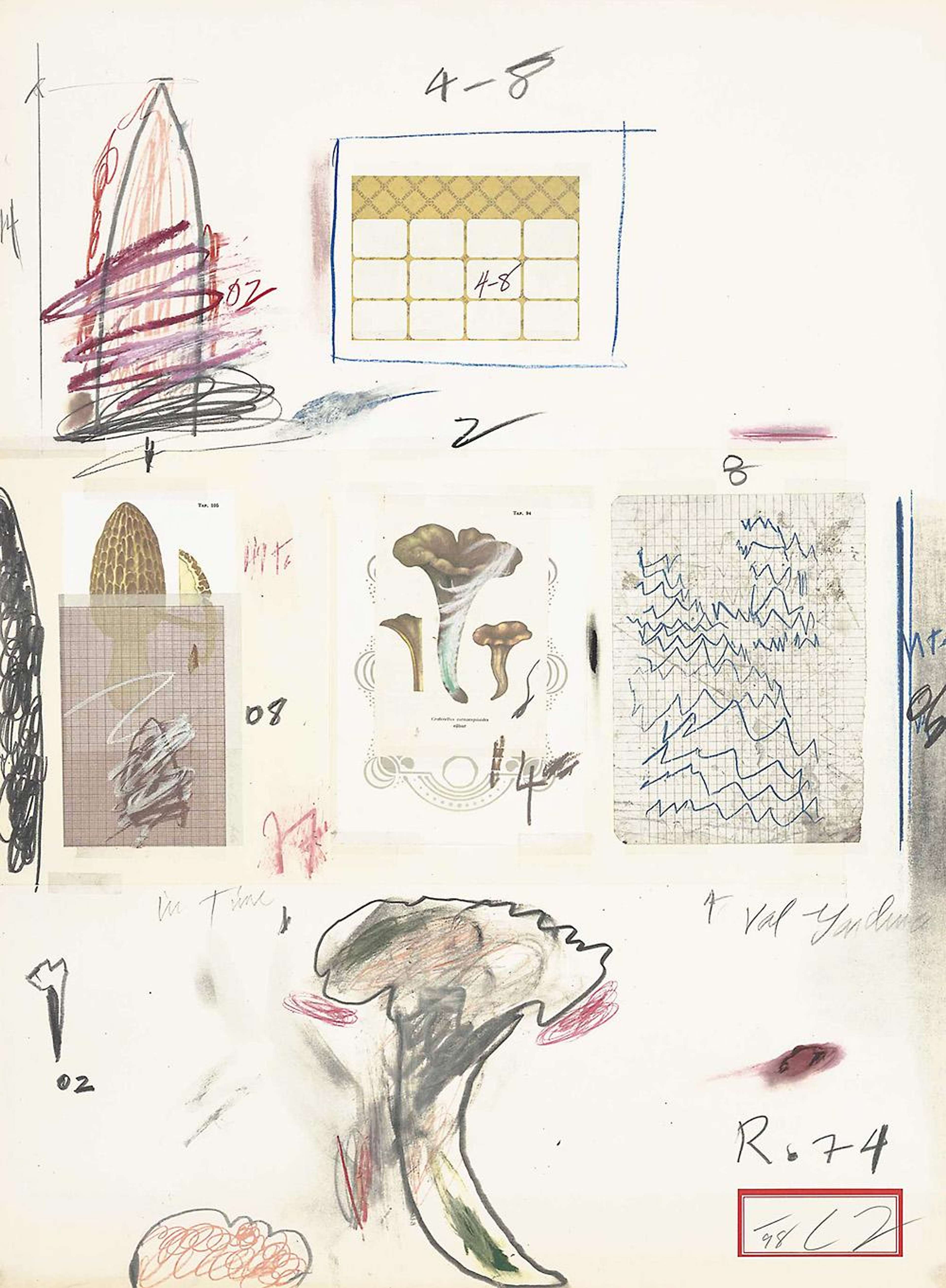 Plate VI (from Natural History Part I - Mushrooms) - Signed Print by Cy Twombly 1974 - MyArtBroker