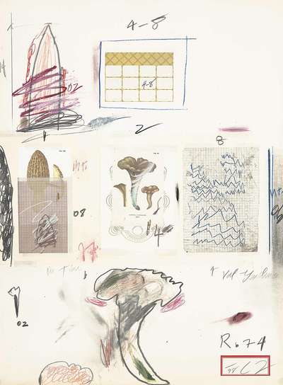 Plate VI (from Natural History Part I - Mushrooms) - Signed Print by Cy Twombly 1974 - MyArtBroker