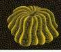 Yayoi Kusama: Napping Pumpkin - Signed Print