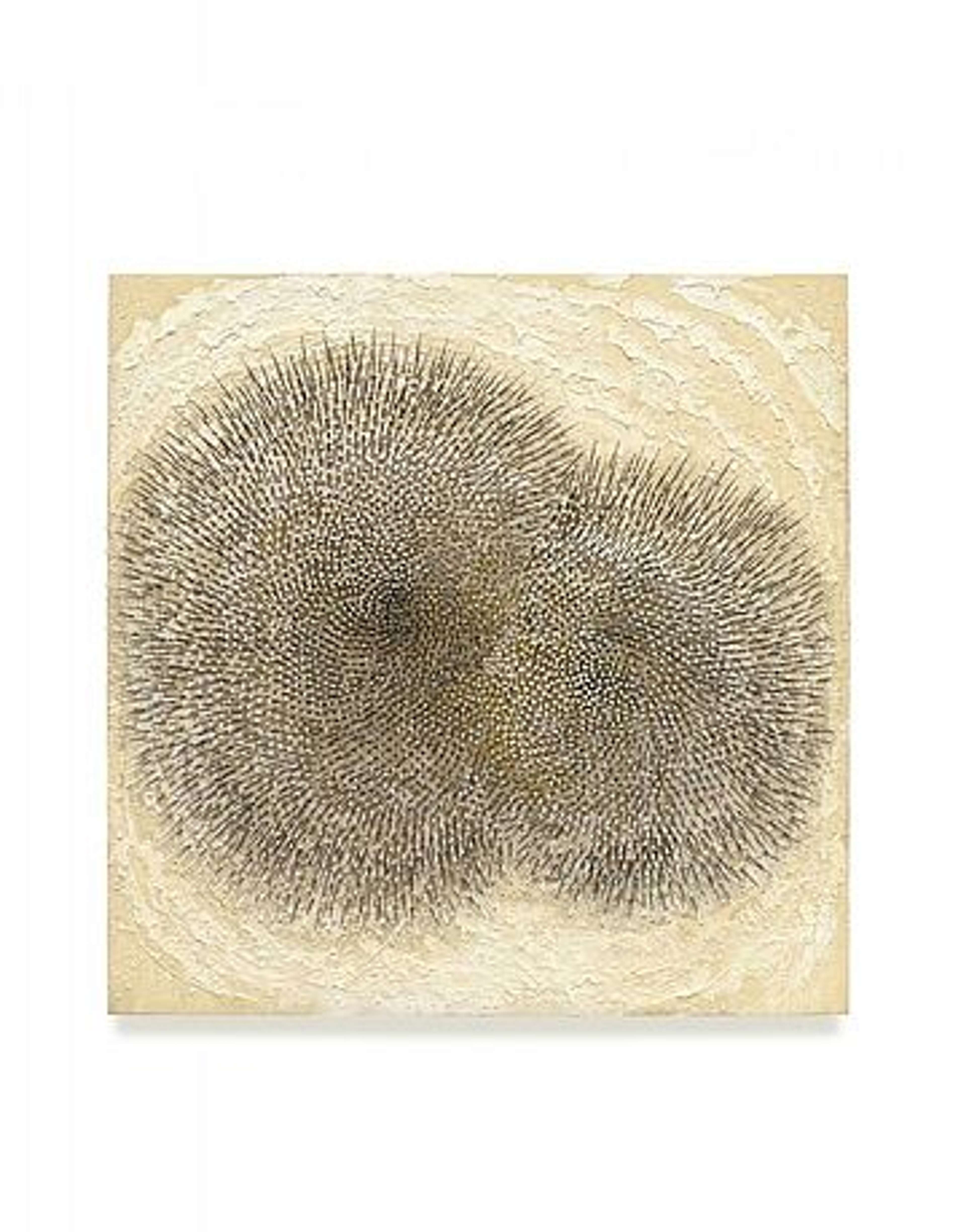Two dense circular formations of nails, stuck into the surface of a textured off-white canvas, overlap at the centre. The circle on the right is slightly smaller than the left. Around them, curves of rough plaster-like material encase the circles in within a larger circle.