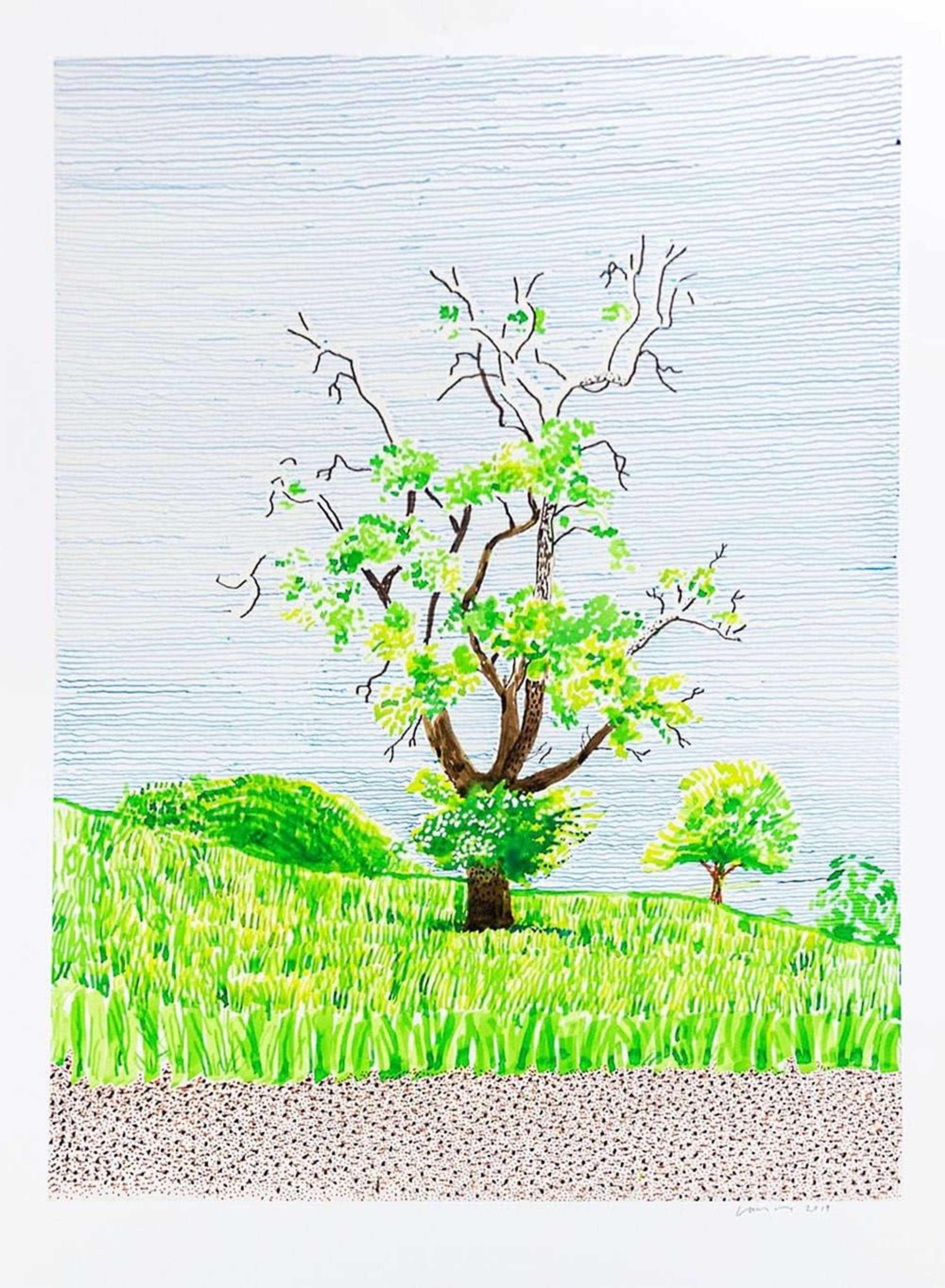 Une estampe stylisée représentant un paysage avec un arbre central aux feuilles d'un vert printanier et aux branches dénudées, se dressant dans un champ herbeux aux collines ondulantes, un arbre plus petit au loin, et un ciel pâle rendu par de fines lignes horizontales.
