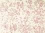Ed Ruscha: Red Ants - Signed Print