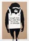 Laugh Now