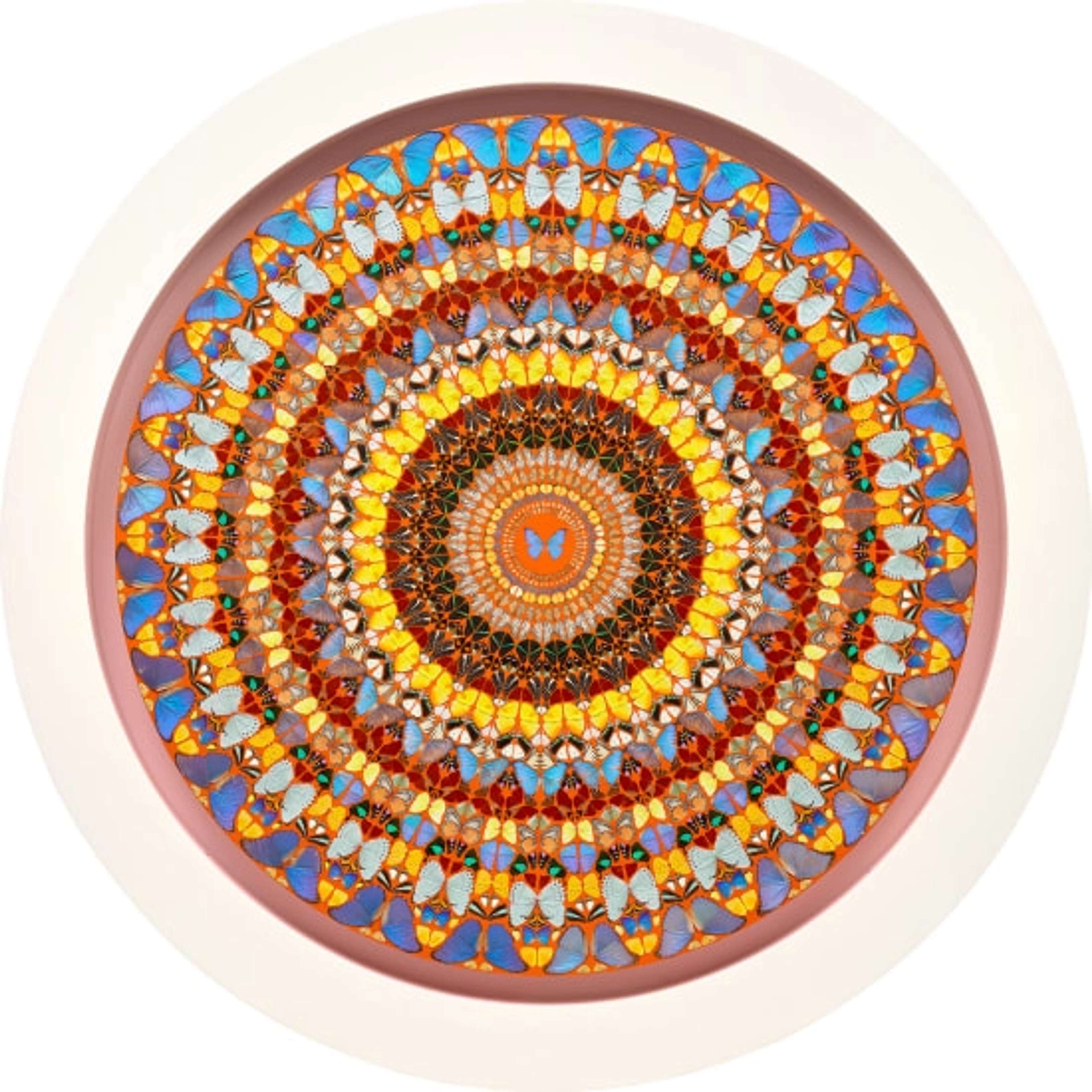 Omnipotence Damien Hirst