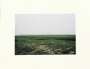 Ai Weiwei: Becoming #140 - Unsigned Print