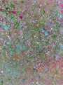 Damien Hirst: H13-2 Kingsdown Beach - Signed Print