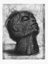 William Kentridge