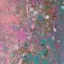 Damien Hirst: H13-5 Exmouth Esplanade - Signed Print