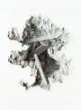 Daniel Arsham: Selenite Erosion Wallpaper - Signed Print