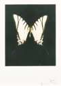 Damien Hirst: Spirit - Signed Print