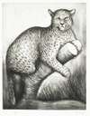 Animals In The Zoo