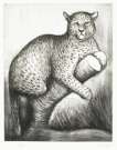 Leopard - Signed Print