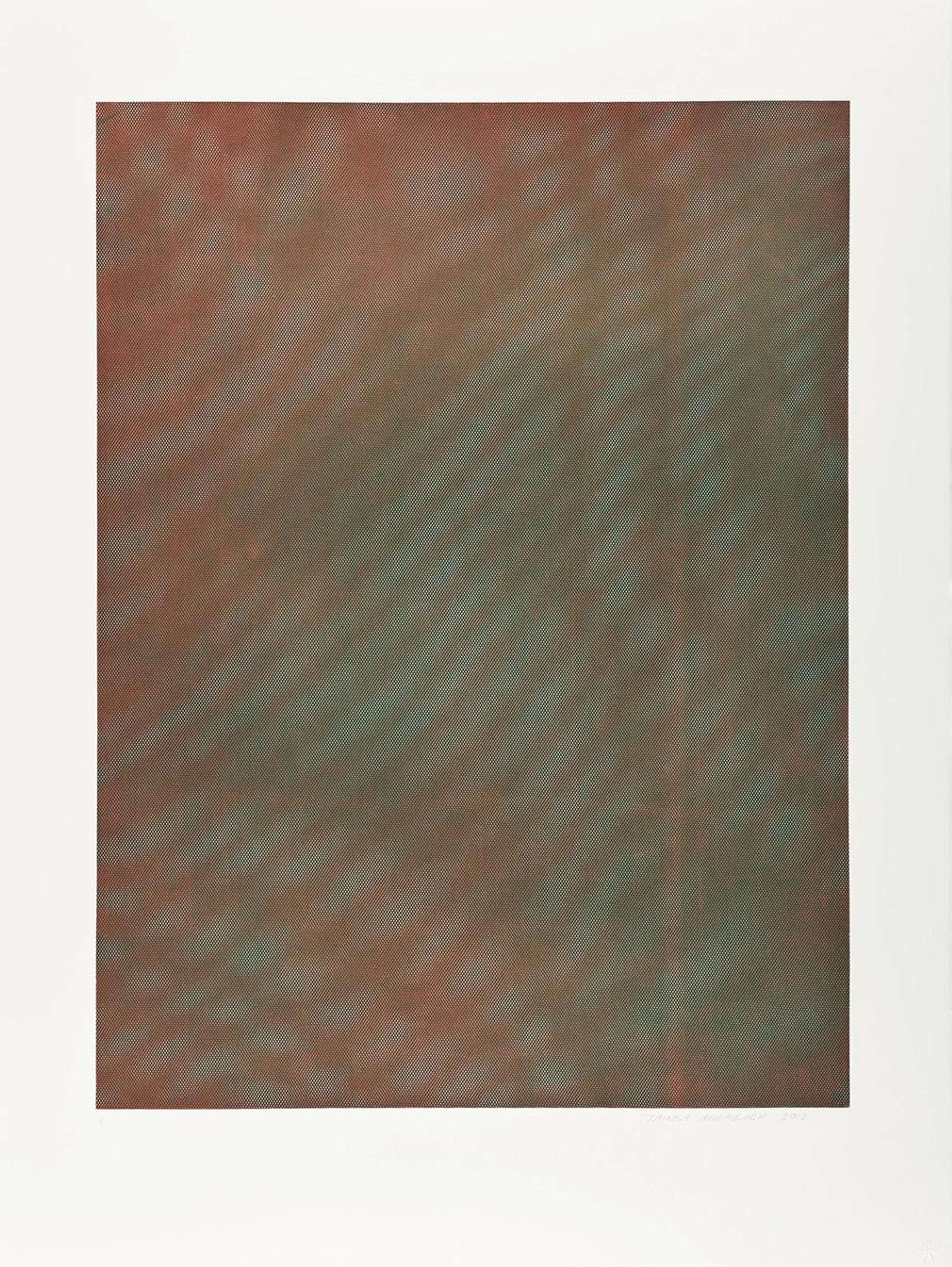 Mesh Moire IV - Signed Print by Tauba Auerbach 2012 - MyArtBroker