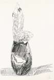Flowers (black and white) (F. & S. II.105) - Signed Print