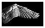 Robert Longo: Gabriel's Wing - Signed Print