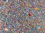 Damien Hirst: H4-5 Nong Nooch - Signed Print