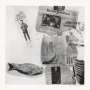 Robert Rauschenberg: Features XV - Signed Print