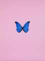 Damien Hirst: New Beginnings 5 - Signed Print