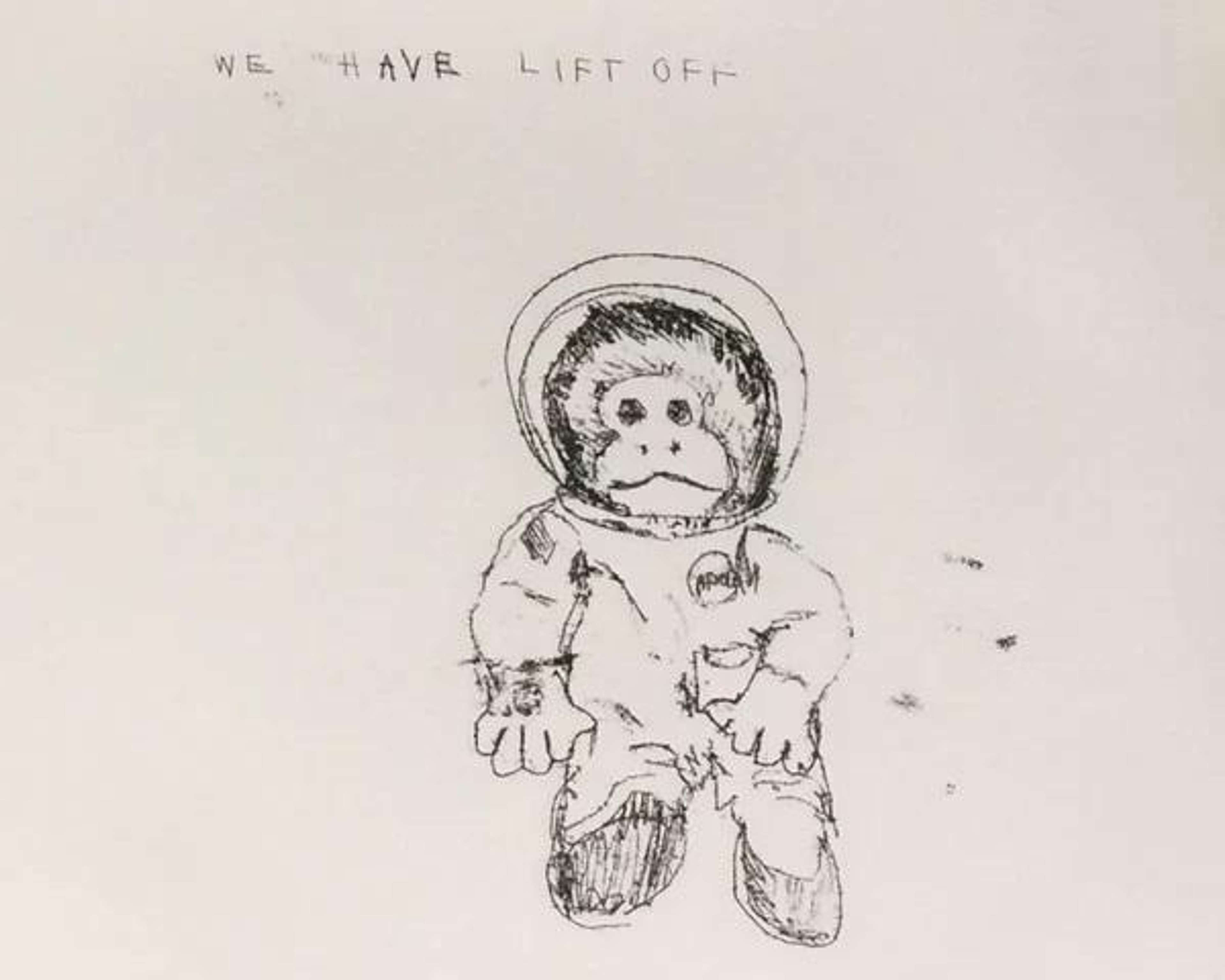Space Monkey de Tracey Emin