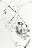 Flowers (black and white) (F. & S. II.109) - Signed Print