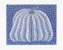Yayoi Kusama: Pumpkin (blue) - Signed Print