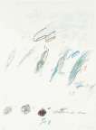 Castanea Sativa - Signed Print