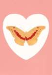 I Love You (white, pink, cool gold, poppy red) - Signed Print