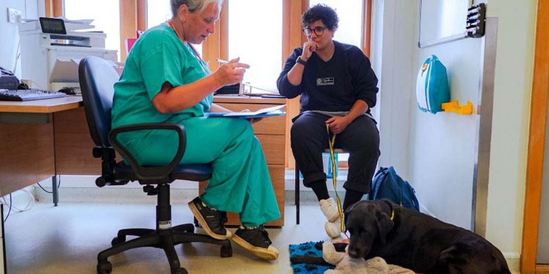 Veterinarian gently examining a calm dog during a holistic consultation while the owner looks on
