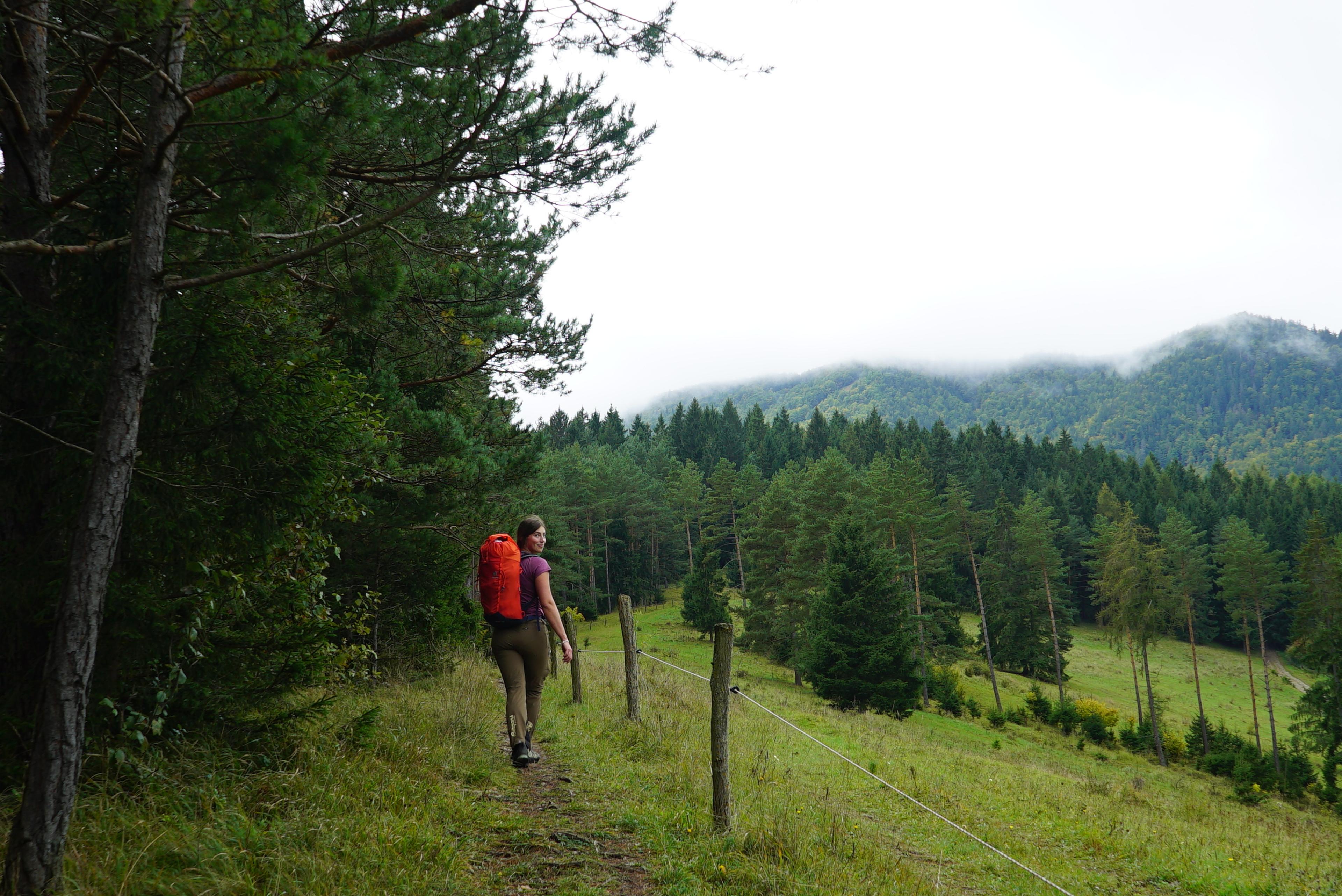old forrest velka fatra beech and wpruce walker hike journey wild