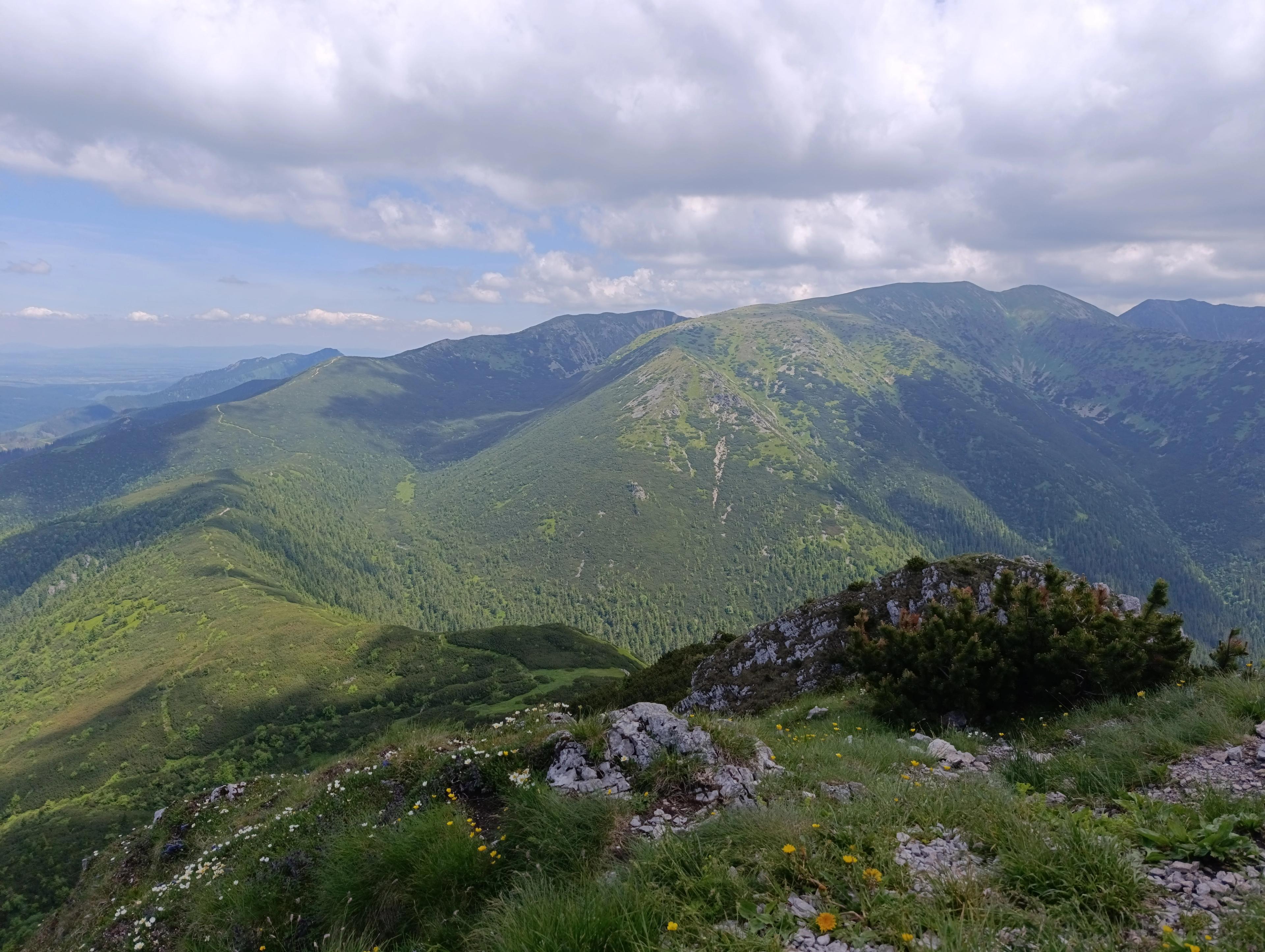 peak