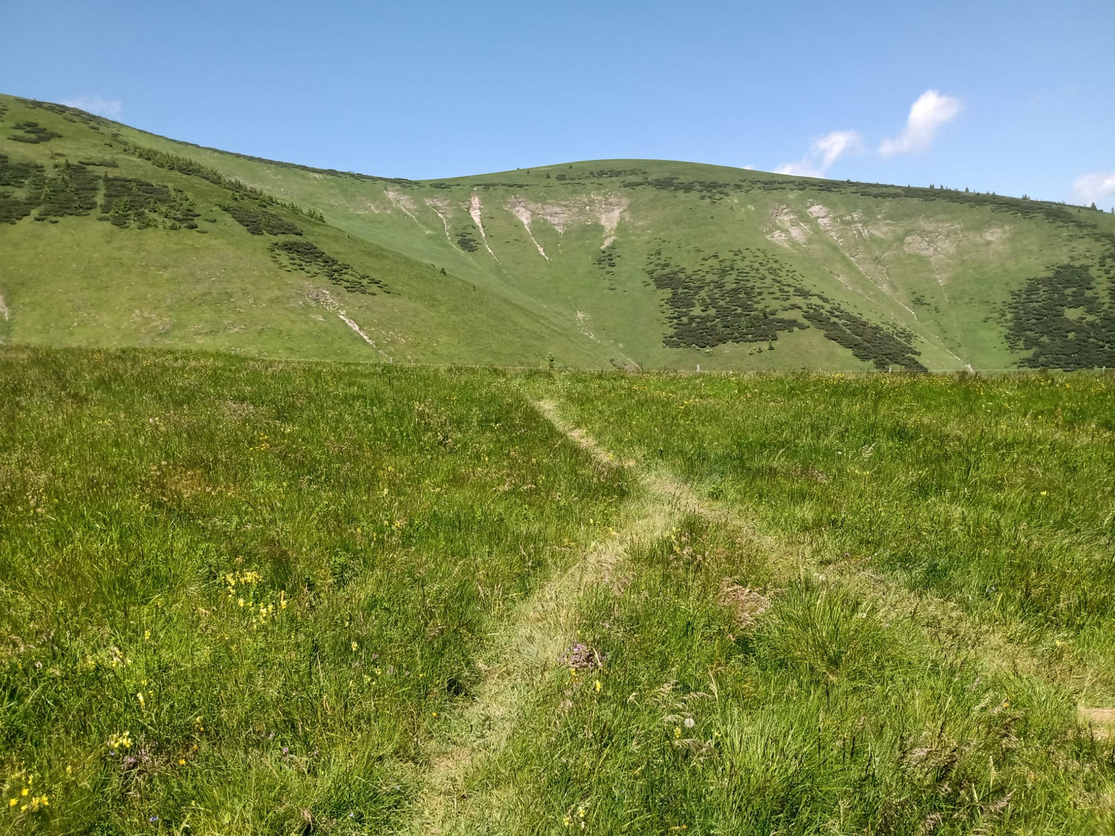 rifge human walker hike velka fatra ridge
