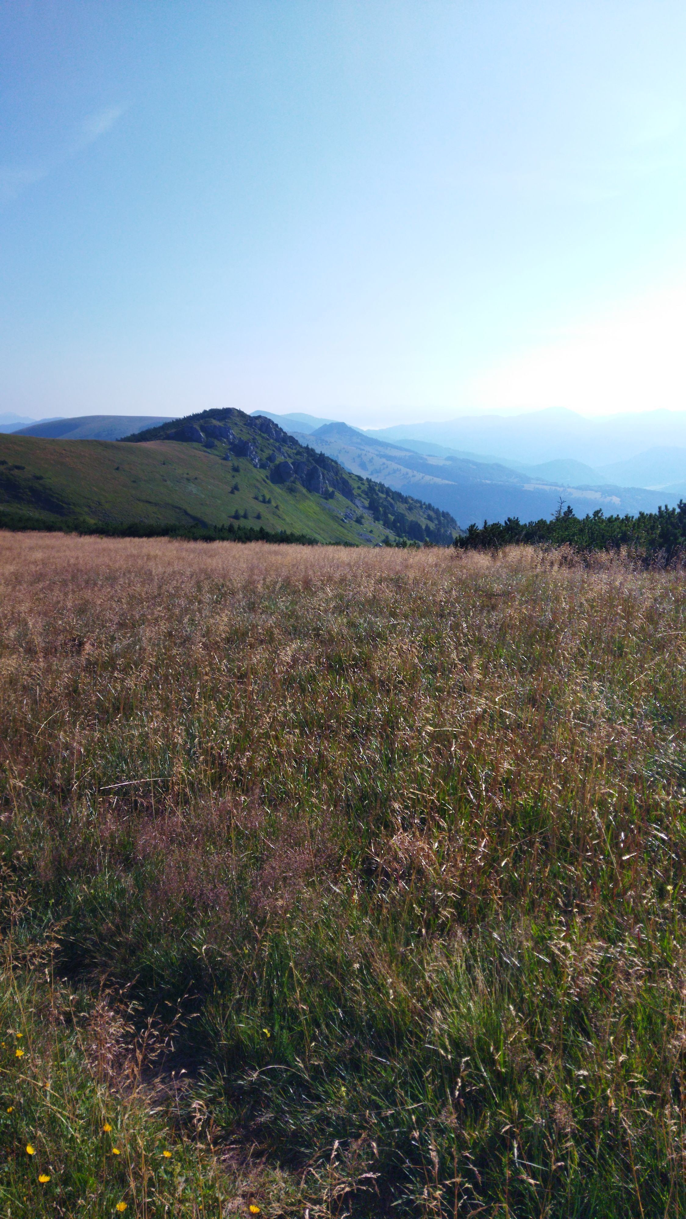 shepherd house, tradition, great fatra, wild valley, ridge 