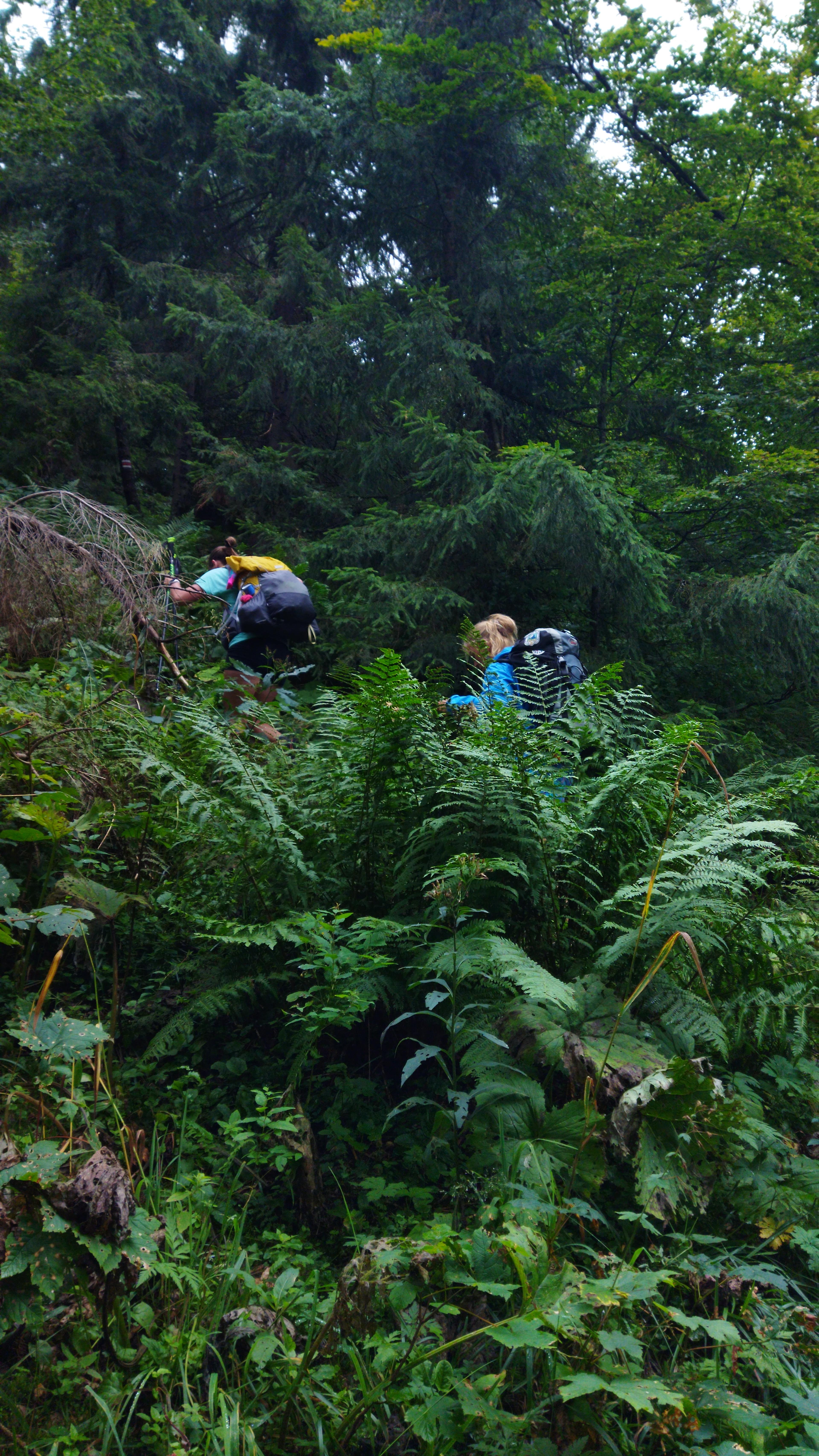 wild ridge velka fatra hikers wander hike journey meadow forest