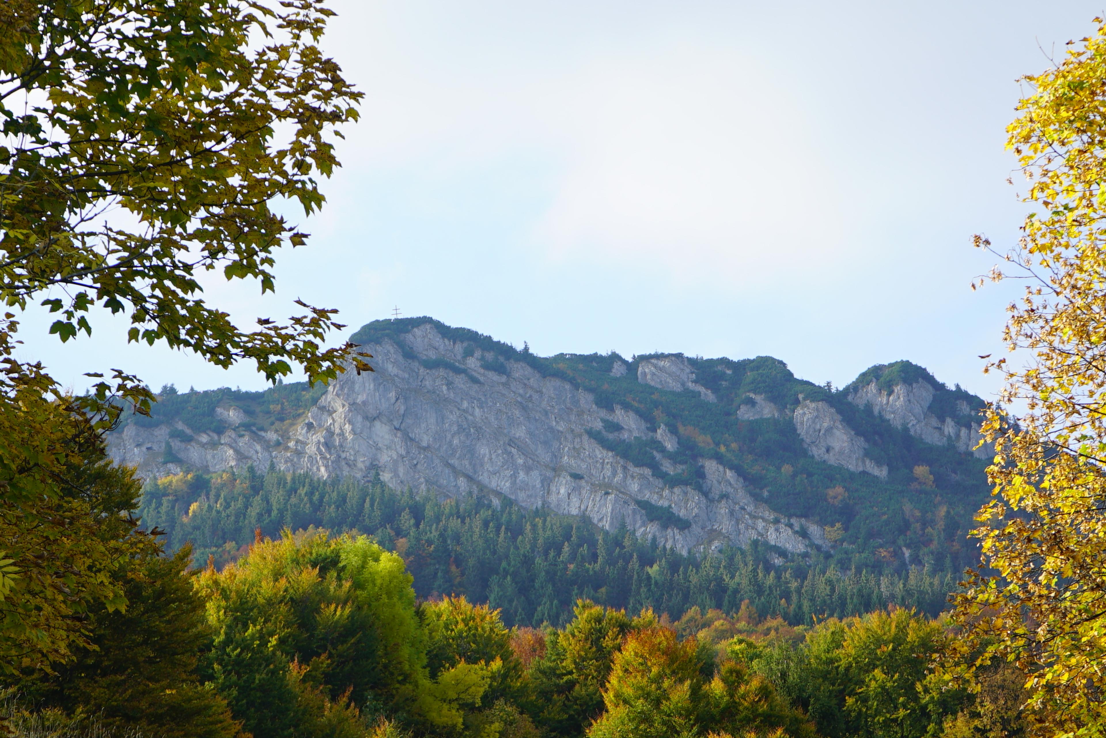 Limestone cliffs rising above the ancient mountain forests of the Veľká Fatra