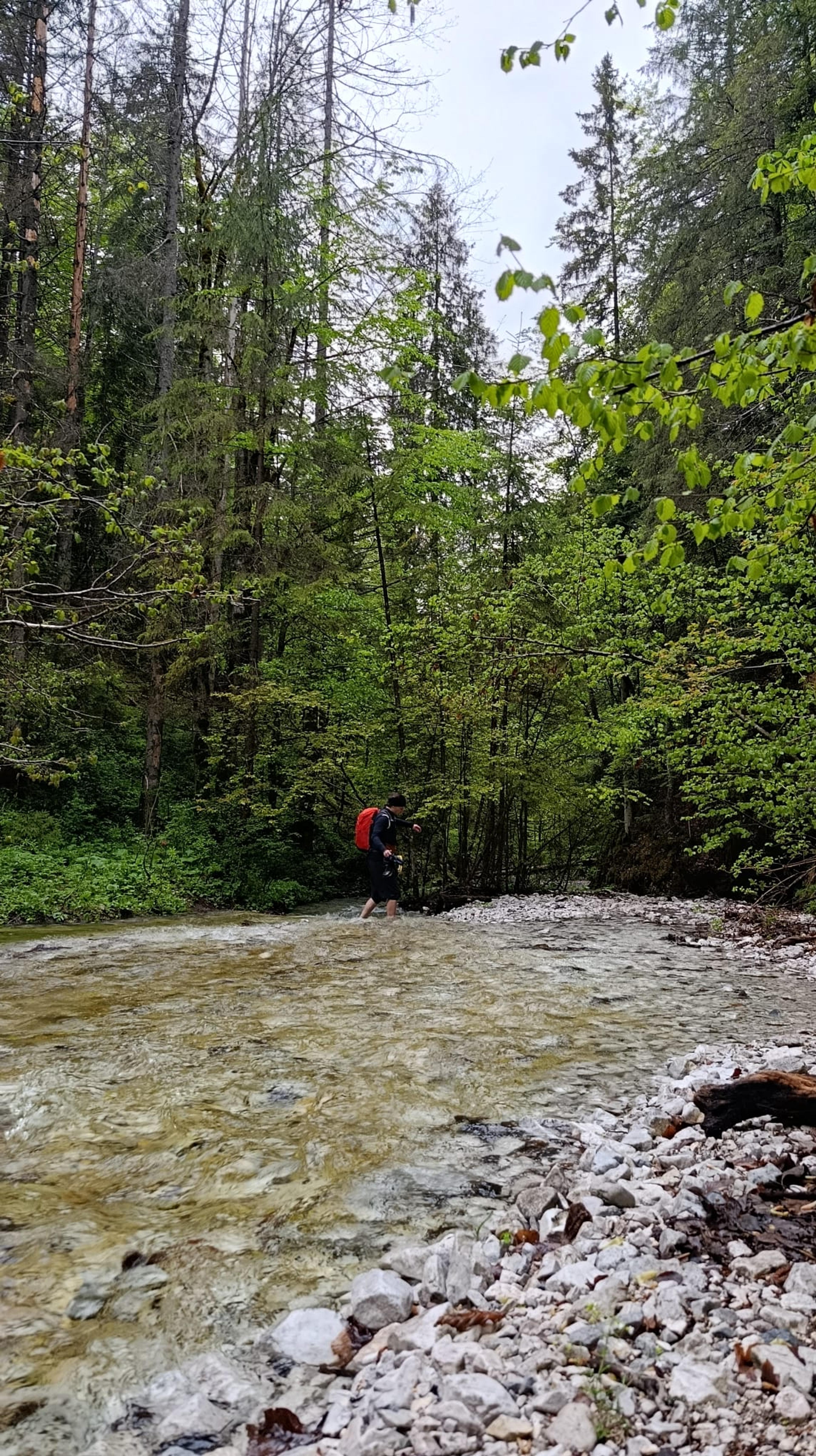 wild gorge slovak paradise waterfall wilderness water