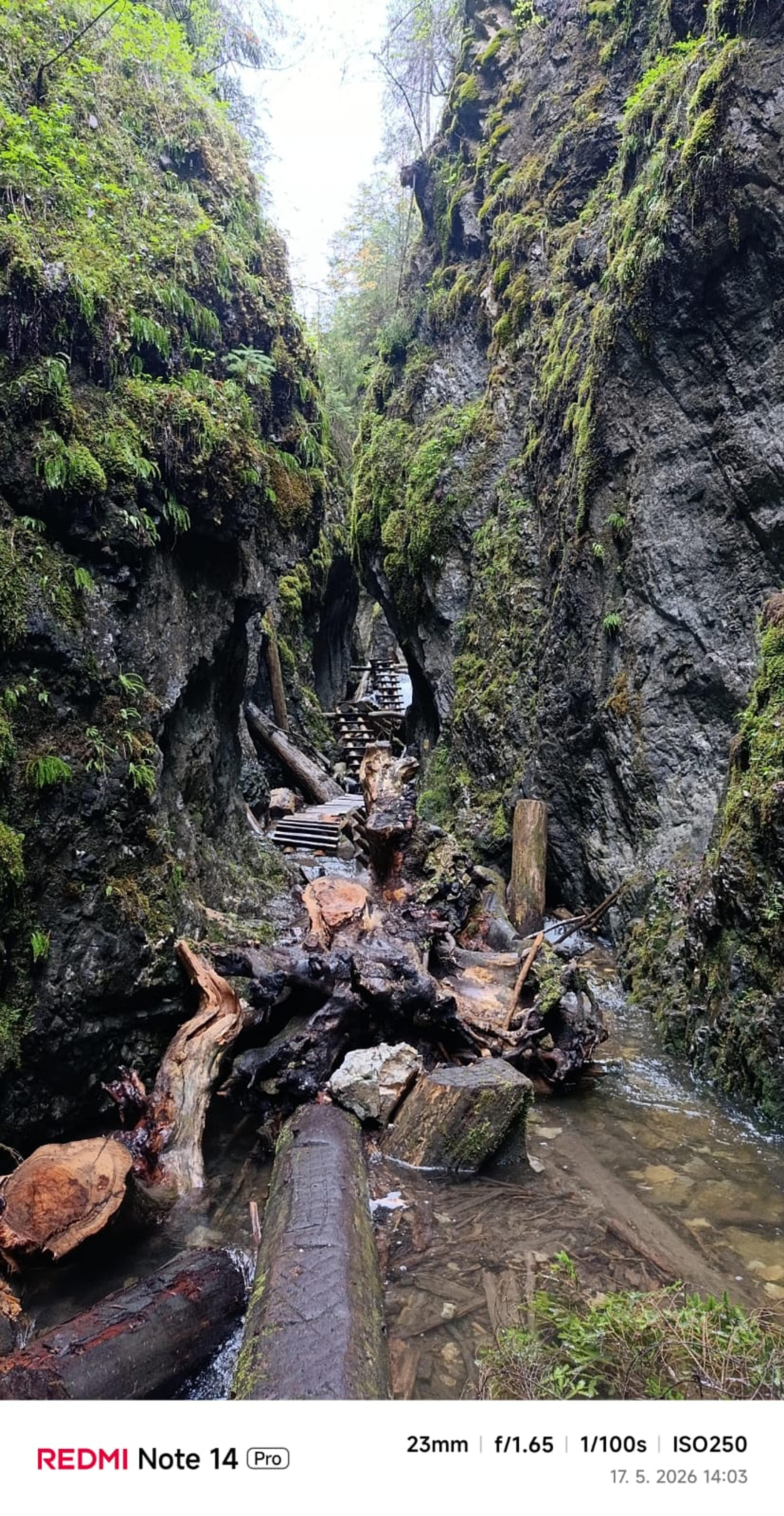 wild gorge slovak paradise waterfall wilderness water